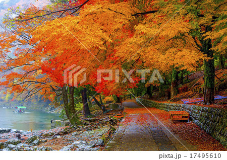 奥嵐山の紅葉道 17495610