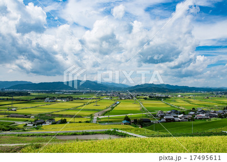 亀岡の田園風景 17495611