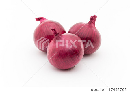 赤たまねぎ 17495705