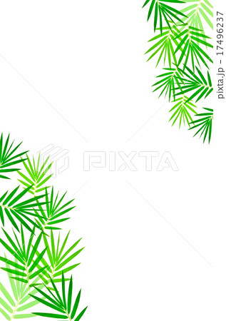 bamboo leaves 17496237