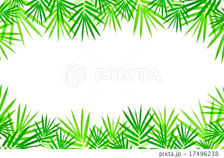 bamboo leaves 17496238