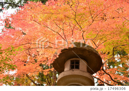 昌禅寺の秋景色 昌禅寺の秋景色 17496306
