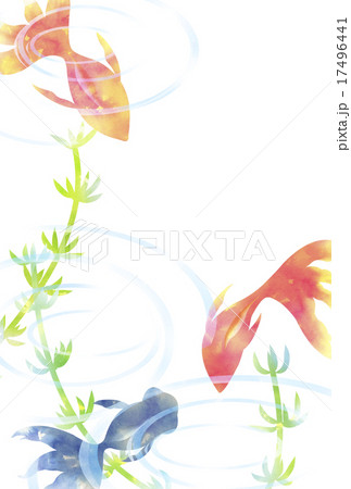 金魚と水草のイラスト素材