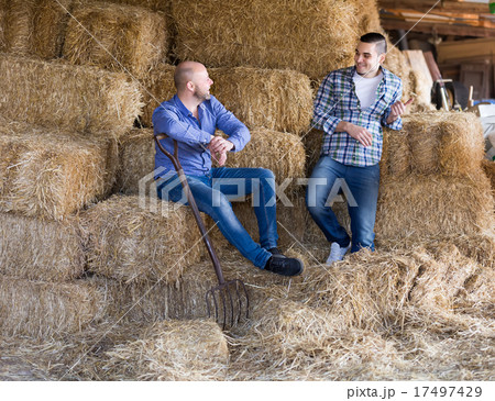 Two farmers working in barn 17497429