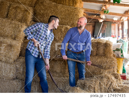 Farmers working in a shed Farmers working in a shed 17497435