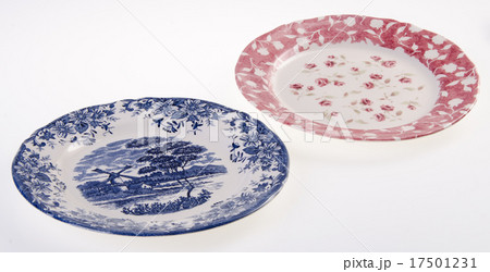 plates on the white plates on the white 17501231