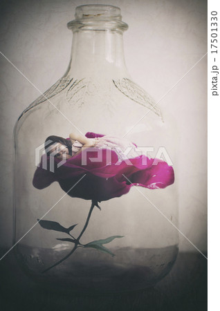 Girl in Rose Girl in Rose 17501330