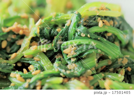 自家製ほうれん草の胡麻和え 自家製ほうれん草の胡麻和え 17501405