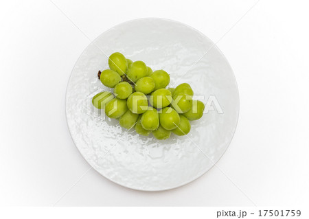摘みたてぶどう マスカット Fruit Muscat of Alexandria 摘みたてぶどう マスカット Fruit Muscat of Alexandria 17501759