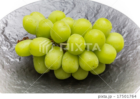 摘みたてぶどう　マスカット Fruit　Muscat of Alexandria 17501764