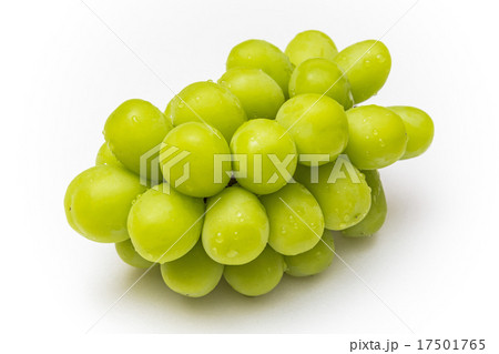 摘みたてぶどう　マスカット　Fruit　Muscat of Alexandria 17501765