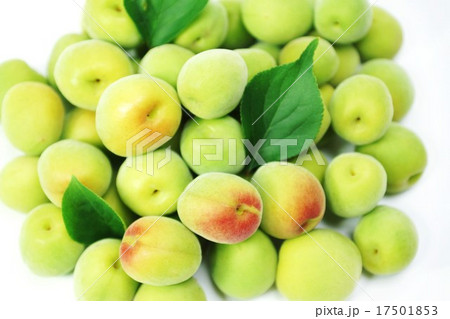 初夏の背景素材・色鮮やかな南高梅の洗い梅たくさんと梅の葉3葉・ほぼベタ横位置 初夏の背景素材・色鮮やかな南高梅の洗い梅たくさんと梅の葉3葉・ほぼベタ横位置 17501853