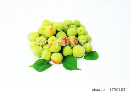 初夏の背景素材・色鮮やかな南高梅の洗い梅たくさんと梅の葉3葉・梅の葉手前下横位置 初夏の背景素材・色鮮やかな南高梅の洗い梅たくさんと梅の葉3葉・梅の葉手前下横位置 17501854