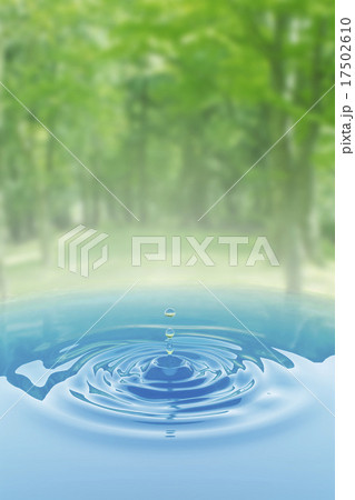 森と水の波紋 森と水の波紋 17502610