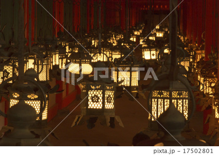 春日大社 万燈籠 春日大社 万燈籠 17502801