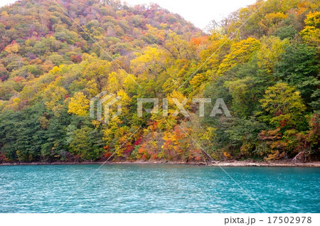 支笏湖の色づき 支笏湖の色づき 17502978