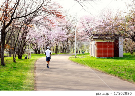 公園の日常 17502980