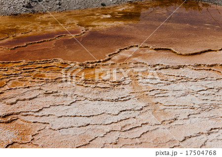 テラスマウンテン テラスマウンテン 17504768