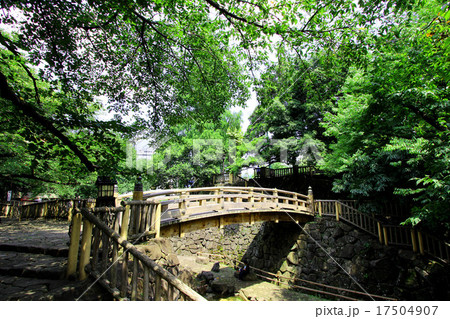 音無親水公園  17504907