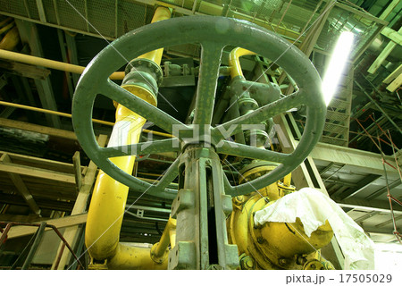 Industrial zone, Steel pipelines in green tones 17505029