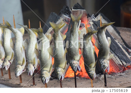 アユの炭火焼き アユの炭火焼き 17505619