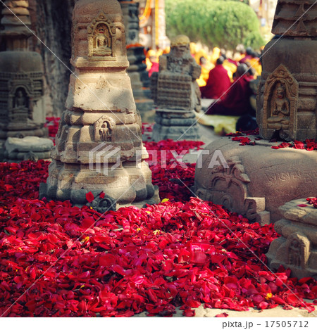 Rose petals for offering respect - retro filter. 17505712