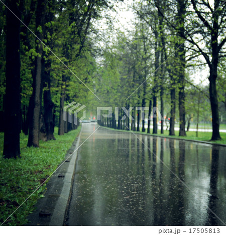 Wet asphalt in the spring park alley - vintage. Wet asphalt in the spring park alley - vintage. 17505813