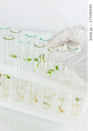 Biosciences Biosciences 17506040