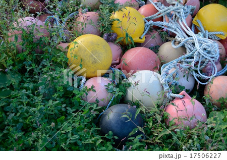 草むらの浮き球 草むらの浮き球 17506227