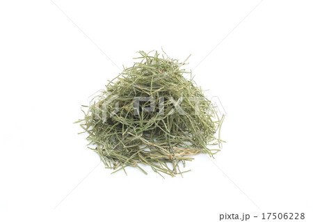 スギナ茶 17506228