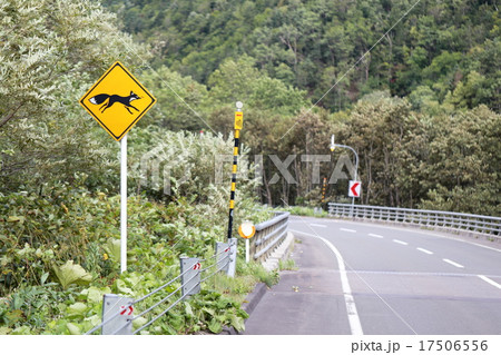 キツネ 道路標識 交通標識 道路案内 警告 注意 野生動物 危険 動物注意の写真素材