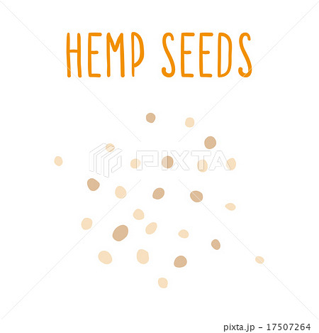 Hemp seeds. Hemp seeds. 17507264