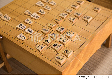 将棋 17507284