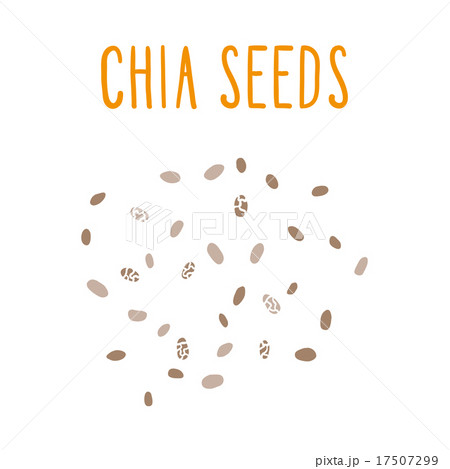 Chia seeds. Chia seeds. 17507299