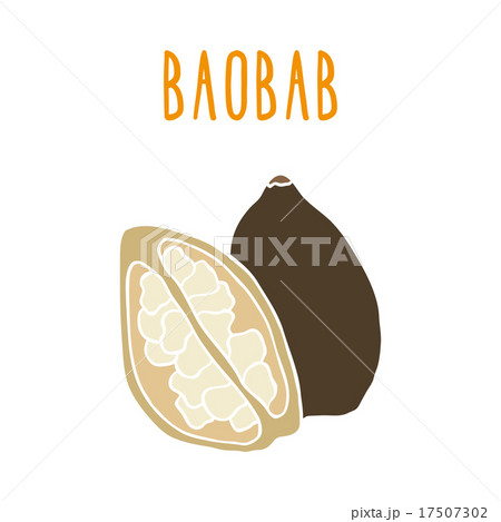 Baobab. Baobab. 17507302