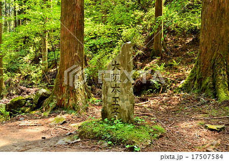 熊野古道：中辺路の大坂本王子跡 17507584