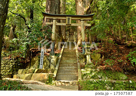 熊野古道：中辺路の継桜王子 17507587