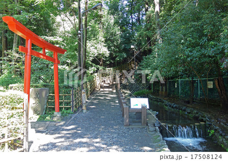 東京都国分寺市の真姿の池弁財天と湧水群 17508124