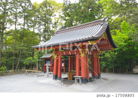 鶴岡八幡宮 鶴岡八幡宮 17508805