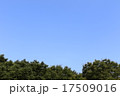 青空 17509016
