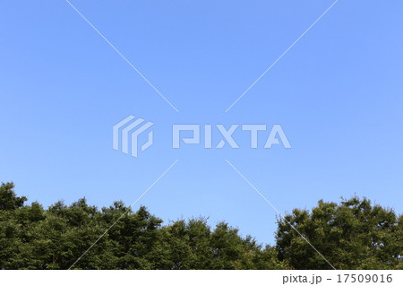 青空 17509016