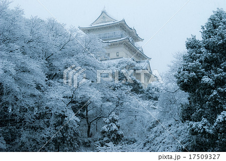 小田原城と雪 17509327