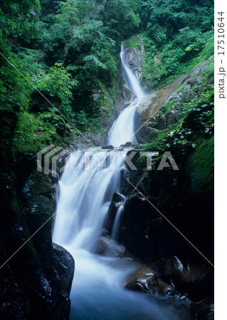 丹沢・小川谷廊下の大滝 17510644