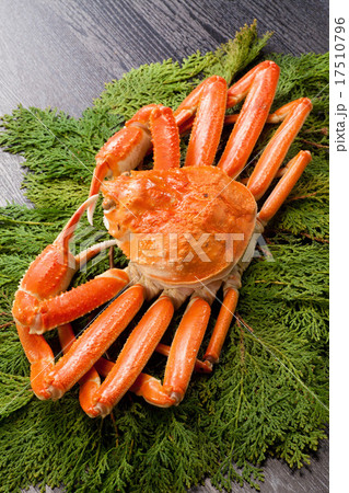 ゆでズワイガニ 17510796