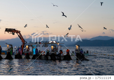 定置網漁の漁船 17511114