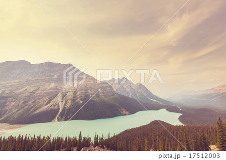Peyto lake Peyto lake 17512003