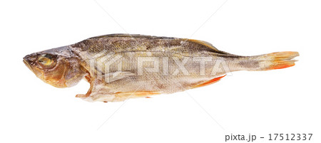 Dried Fish 17512337