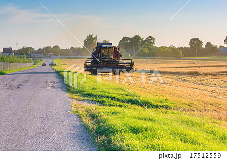 Tractor reaping wheat Tractor reaping wheat 17512559