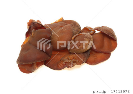 キクラゲ 17512978