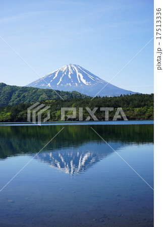 はがきサイズ富士山774西湖 はがきサイズ富士山774西湖 17513336
